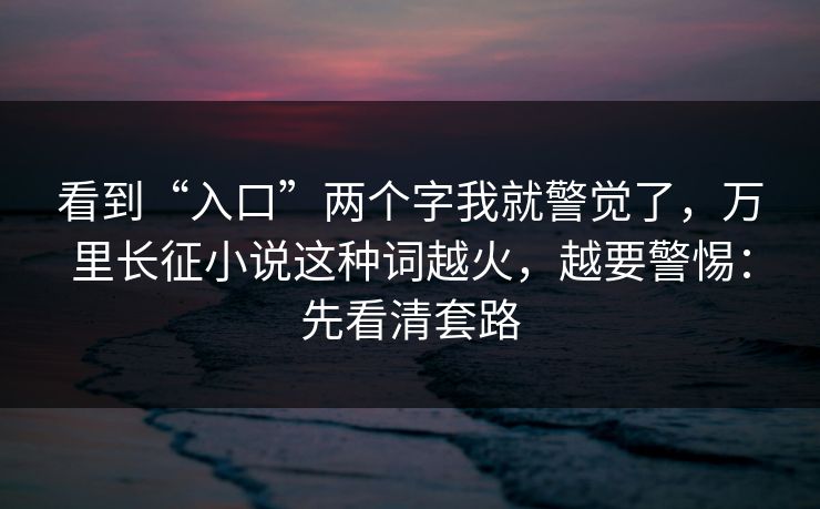 看到“入口”两个字我就警觉了，万里长征小说这种词越火，越要警惕：先看清套路
