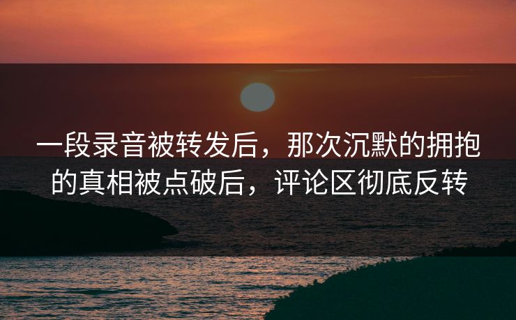 一段录音被转发后，那次沉默的拥抱的真相被点破后，评论区彻底反转